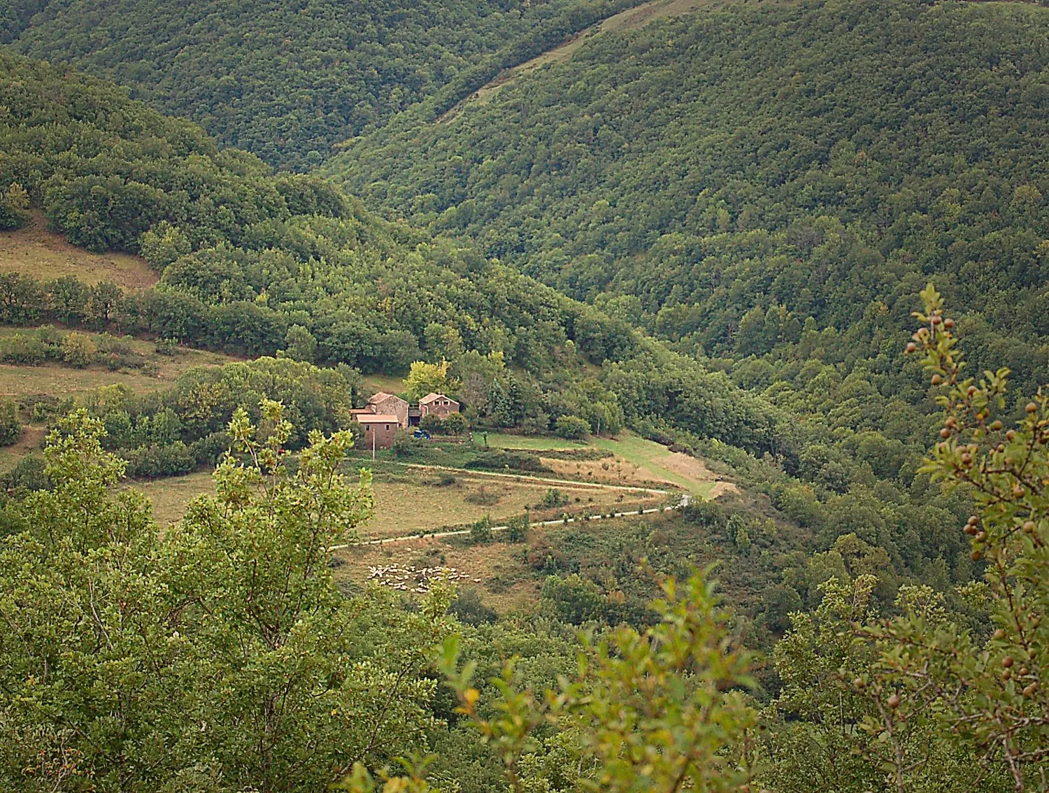 Le Mas de Jordi niché dans sa vallée boisée